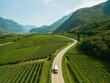 © Anna Tsukanova/Stocksy - Aerial view of truck on the road  through the vineyard in Italy