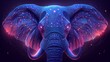 a digital painting of an elephant's head in blue and pink colors with stars on the back of it.