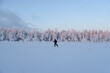 Skiing through a winter wonderland in Finnish Lapland
