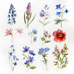  A set of watercolor spring flowers