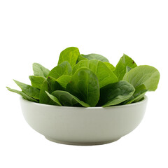 fresh spinach in a bowl