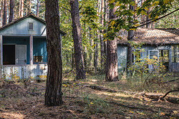 Canvas Print - Holiday cabins in Izumrudnoe summer camp in Chernobyl Exclusion Zone, Ukraine