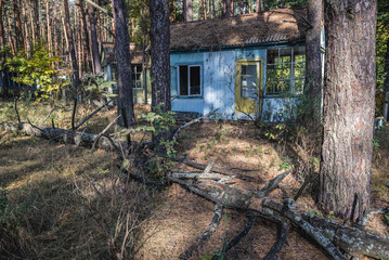 Canvas Print - Holiday cottages in Izumrudnoe summer camp in Chernobyl Exclusion Zone, Ukraine