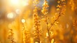 Abstract bright yellow nature background with a blurred sunny sky