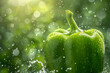Fresh Green Bell Pepper: Crisp and Vibrant