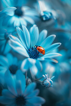 A Close-up Of A Ladybird Beetle On A Blue Flower