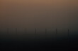 © Mihail Svirkov/Stocksy - Wooden poles standing in a row in a foggy field.