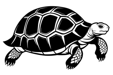 Wall Mural - tortoise vector illustration