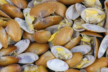 Closed up fresh baby clams, venus shell, shellfish, carpet clams, short necked clams, as raw food from the sea are the seafood ingredients. fresh clams Background.