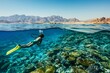 © artfisss - A person swimming in the Red Sea, wearing flippers and goggles while floating on their back over coral reefs near Sh.lenan Island.