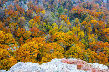 Wall Mural - Beautiful autumn colors at Mount Magazine State Park.