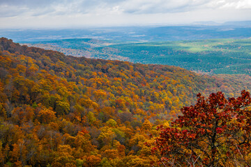 Wall Mural - Beautiful autumn colors at Mount Magazine State Park.