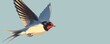 © cac_tus - Illustration of a barn swallow in flight