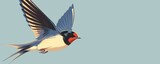 Illustration of a barn swallow in flight