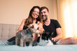 © Ibai Acevedo/Stocksy - Cheerful couple with dog and cat on bed