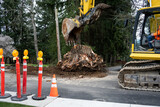 Fototapeta Desenie - Large stump removal as part of road paving project, large excavator with jawbone bucket and operator in cab
