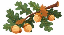 Acorns and leaves on a branch of oak tree. Oaknuts, nuts in caps. Colored flat modern illustration isolated on white.