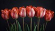 Explore the enchanting beauty of tulips with meticulous close-up shots of individual blooms