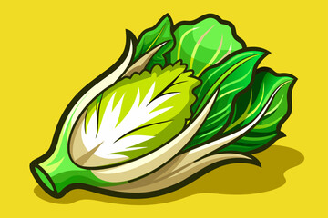 Poster - endive vegetable background