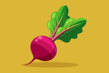 Wall Mural - beetroot vegetable background