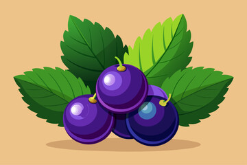 Poster - blackcurrant fruit background