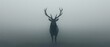 © Jevjenijs - a deer standing in a foggy field with antlers on it's head and antlers on its back.