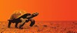  a picture of a tortoise in the middle of a field with an orange sky in the back ground.