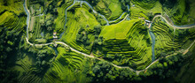 Aerial View Of Tegallalang Bali Rice Terraces. Abstrac