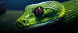 Close up view of a dangerous green snake ..