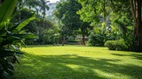Fototapeta Sport - Picture of a lush green lawn in a large garden. Green grass with a beautiful yard for the background.