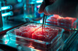 Futuro in cui la biotecnologia consentirà la produzione di carne coltivata in laboratorio come alternativa sostenibile alla produzione di carne tradizionale
