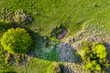 Aerial view of green pasture with small natural drinking ponds for buffalos and farm animals