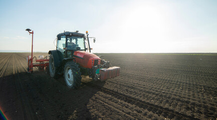 Wall Mural - Sowing crops at agricultural fields in spring