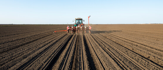 Wall Mural - Sowing crops at agricultural fields in spring