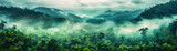 Jungle, tropical forest, morning fog, top view.