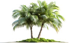 Fototapeta Desenie - Exotic Palm Tree on Transparent Background, PNG Design Element - Hand Edited Generative AI