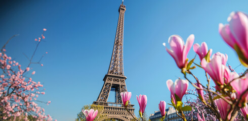 Wall Mural - eiffel tower and magnolia