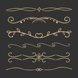 Elegant gold divider thin line classic deco border separator collection isolated on dark background. Florish arnament, embelish.