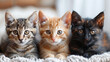 Group of Kittens Sitting on Blanket. Generative AI