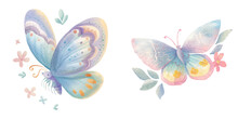 Cute Butterfly Watercolour Vector Illustration