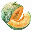 Watercolor illustration of a ripe cantaloupe melon with a slice cut out, ideal for culinary-themed designs and summer refreshment concepts, with space for text
