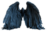 Fototapeta  - Black wings. Ai generated image