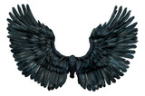 Fototapeta Natura - Black wings. Ai generated image