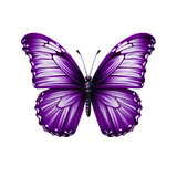 Fototapeta Motyle - a purple butterfly with white wings