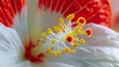 Generative AI : Red stamens and yellow white petals of Lilium candidum, known as Madonna lily, 