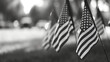 A black and white image of the flags, focusing on the solemnity and timeless respect for the fallen, Memorial Day, with copy space