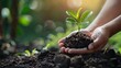 Empowering life: Hands present a burgeoning sapling, a testament to environmental responsibility