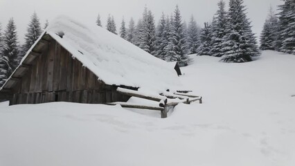 Wall Mural - Winter Carpathians, Transcarpathian small farm high in the mountains, a lonely house and two cowsheds, fox tracks on the roof, wild forest all around