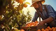 Orange Harvest Sunrise: Portrait of Middle-aged Farmer