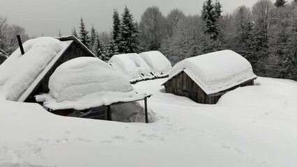 Wall Mural - Winter Carpathians, Transcarpathian small farm high in the mountains, a lonely house and two cowsheds, fox tracks on the roof, wild forest all around